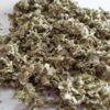 Dry Coltsfoot