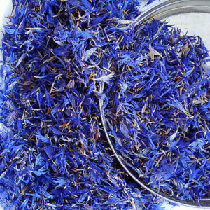 dry blue cornflowers