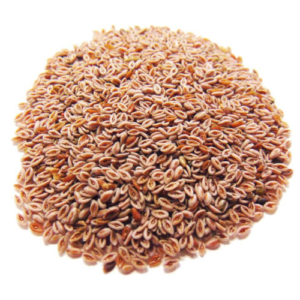 Dried Psyllium seed
